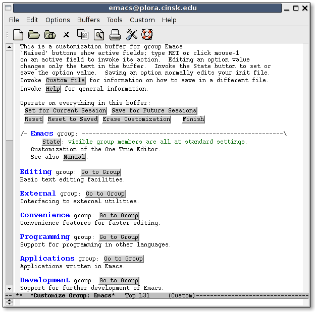 emacs-customize-buffer.png